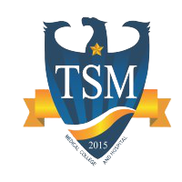 TSMMCH